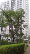 Apartamento 68m em Sumarezinho em Ribeiro Preto, por R$ 1.900/ms